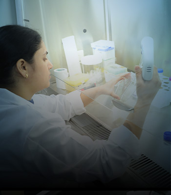 Chemical Engineering